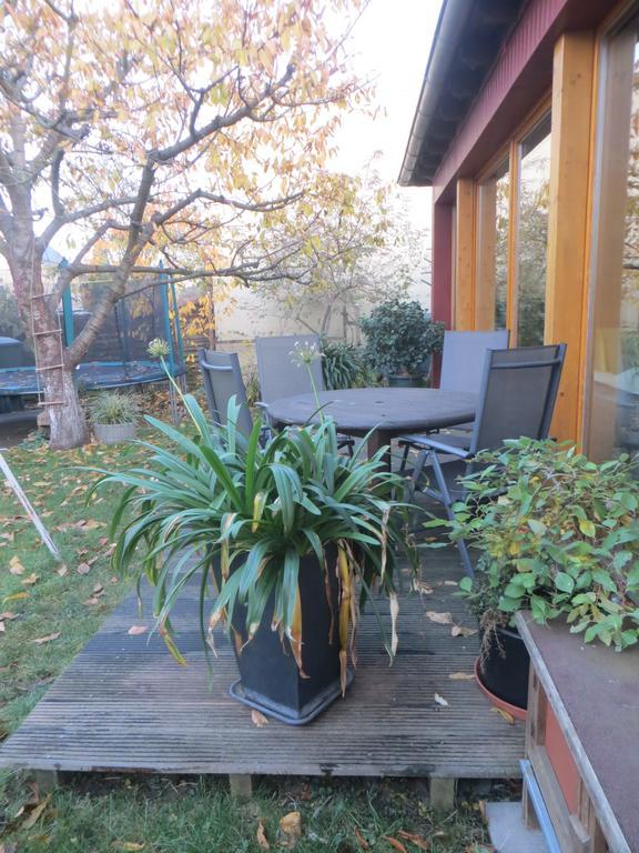 Gartenhaus Klotzsche Dresden Luaran gambar